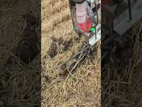 Manual seeder sapling