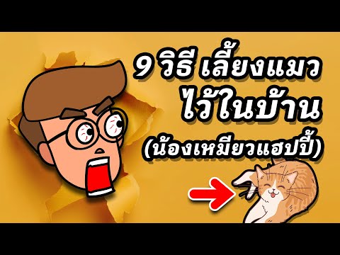 วีดีโอ: 3 วิธีในการรักษาโรคโลหิตจางในแมว