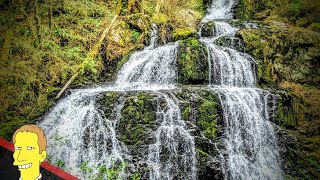 LOCAL WATERFALLS: Hike to Steelhead Falls in Mission BC