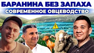 Бизнес на баранине | Какой доход приносит мясное производство? Карачаево-Черкесия | Андрей Даниленко