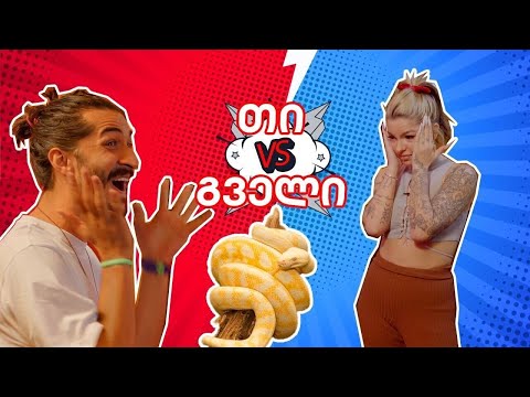 დაძლიე ფობია #2 - თი მაჭავარიანი Vs ვეფხვისებრი პითონი