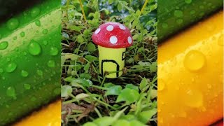 Miniature Mushroom House | how to make a miniature Mushroom House from bottle | Heavenly Feel