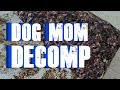 S2 Episode 4: Dog Mom Decomp