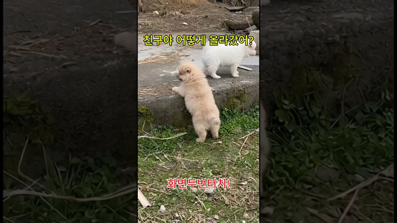 왜 이렇게 높은거야?