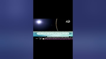 سورة نوح | القارئ ميثم التمار