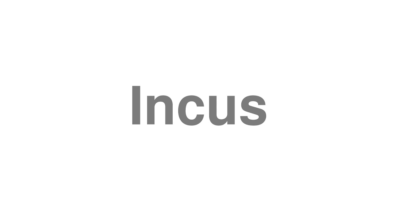 How to Pronounce "Incus"