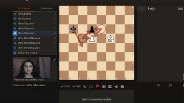 Endgame series for Beginners : King and Pawn Part VI : Mined Squares