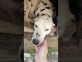 Жизнь в селе.