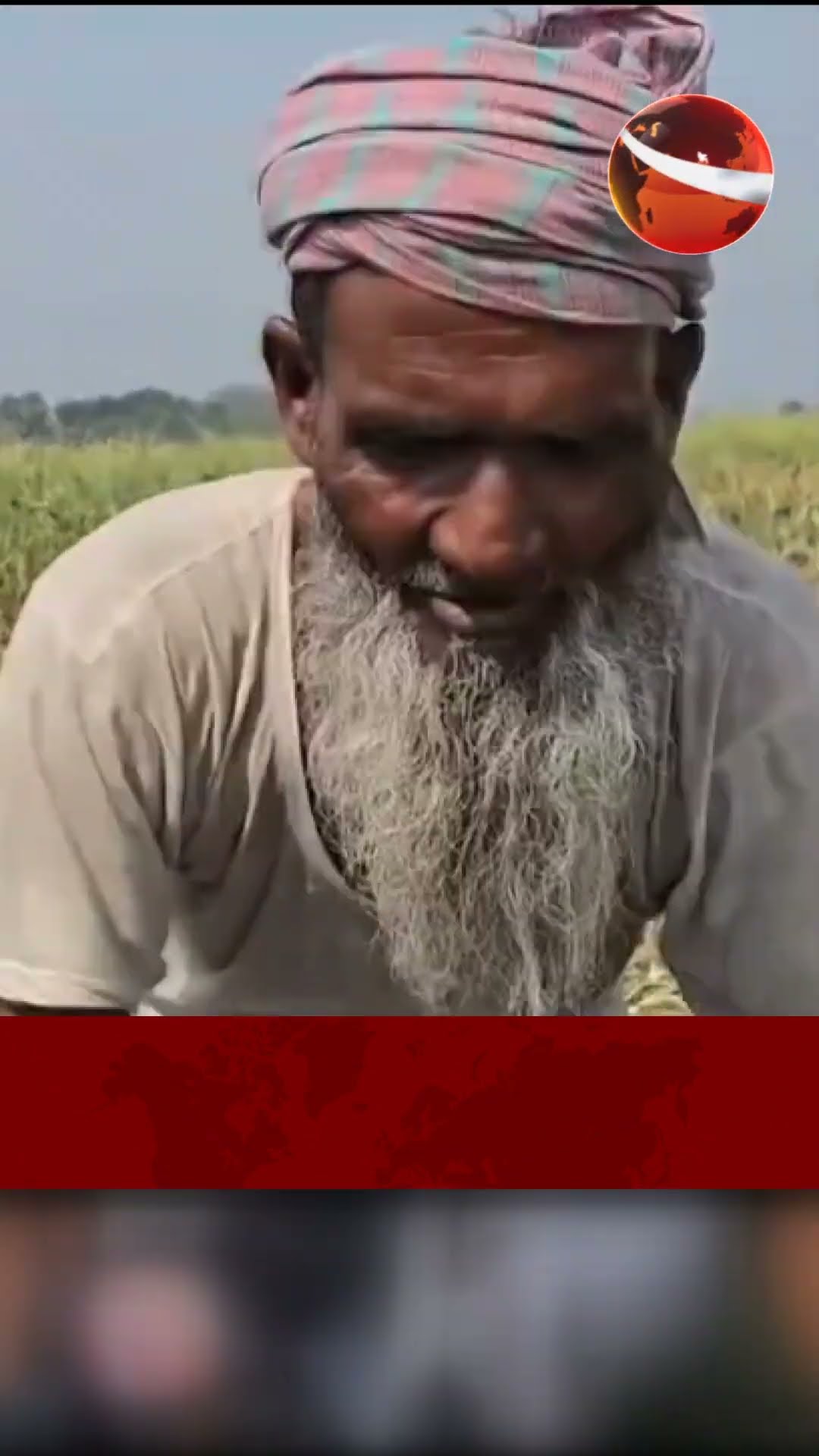 দাম নিয়ে হতাশ পেঁয়াজ চাষিরা #channel24 #news #channel24_news