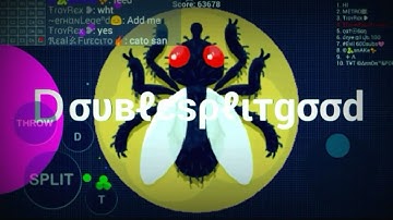 Blob | Destroying Team,DoubleSplit, PopSplit, PreSplit, New Mode ByP Lidel