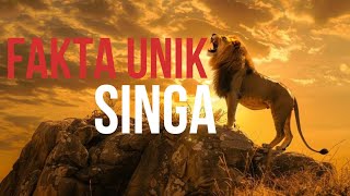Singa Bukan Cuma Raja Hutan! Fakta Ini Akan Bikin Kamu Terkejut