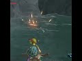 Uh-oh, I just dropped my precious Rupee into the water!