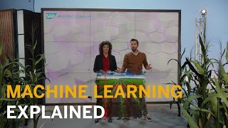 How does Machine Learning work? Simply Explained