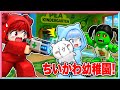 ちいかわと一緒に異変だらけのグリンピースようちえんに入園してみた結果・・・😱【 ロブロックス/ Roblox】【 ちいかわ / セイレーン / 人魚島の秘密 】