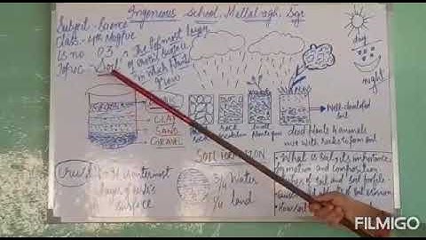 Class 4th / Science / Topic: Soil