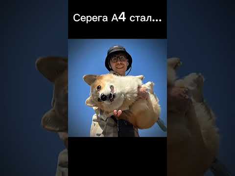 Серега А4 ушел ради этого?