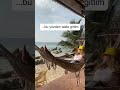 Patronum bana iyi günler diledi - Bu yüzden tatile gittim