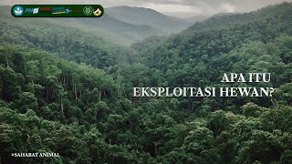 Apa Itu Eksploitasi Hewan?