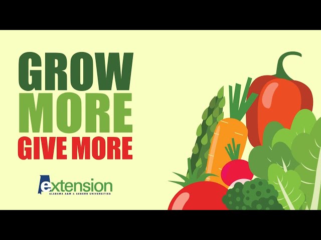 Grow More Asparagus - Alabama Cooperative Extension System