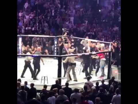 Conor McGregor punches Zubaira Tukhugov