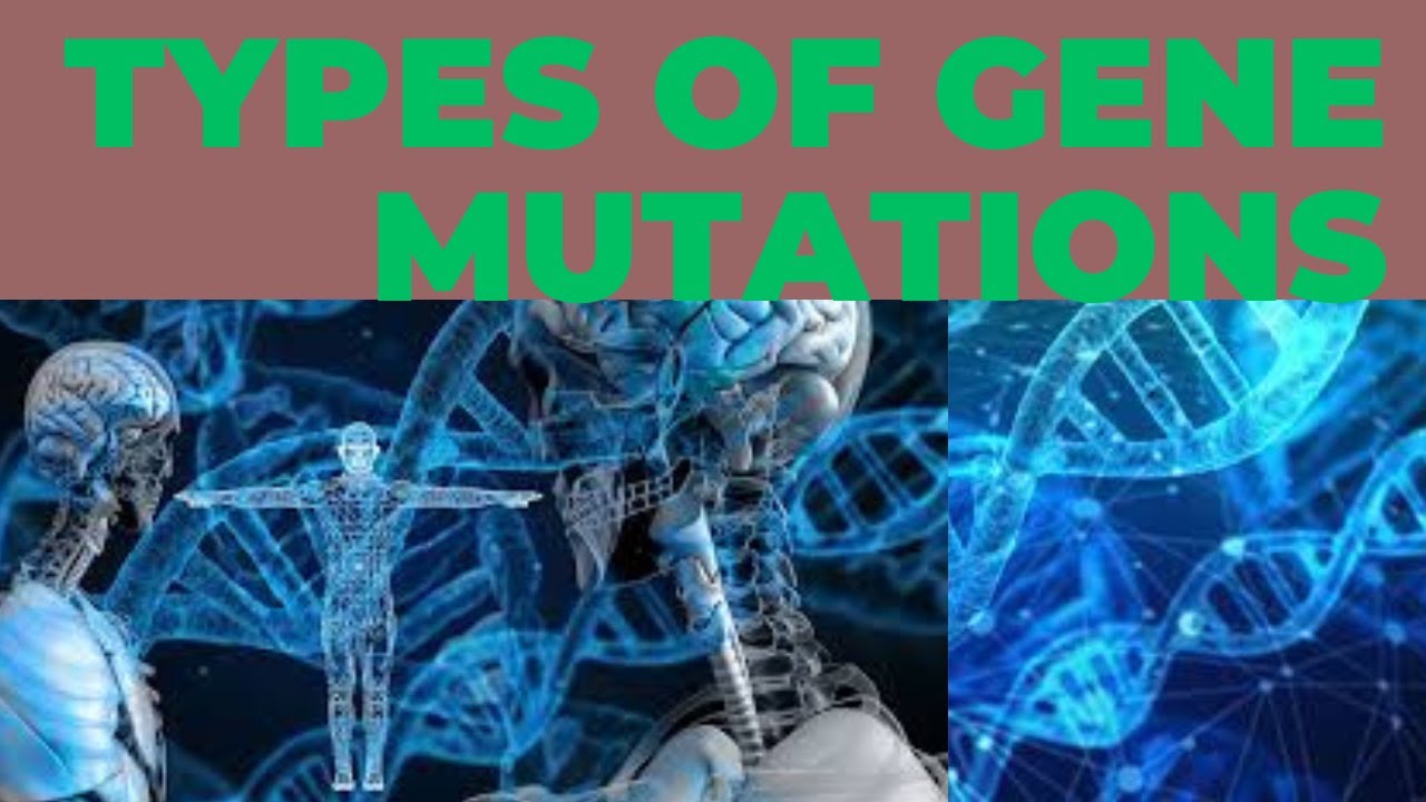 Types of gene mutations - YouTube