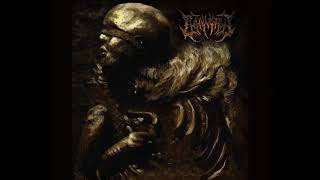 INHUMATION - Rotting Seeds Of Praxis...