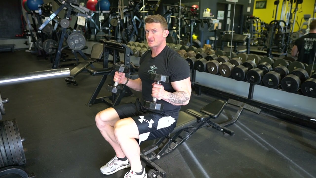 Seated Hammer Curls