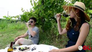 Intern Abroad in Italy: Wine, Food Studies, Agriculture, Farming, Sustainability