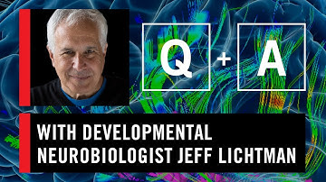 WS CONNECT Q&A with Jeff Lichtman