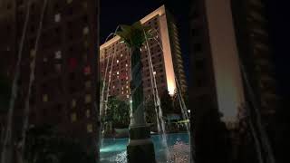 Hotel Hilton Orlando Piscina de Noche