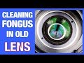 How to Remove Fungus from a Camera Lens (EASY)