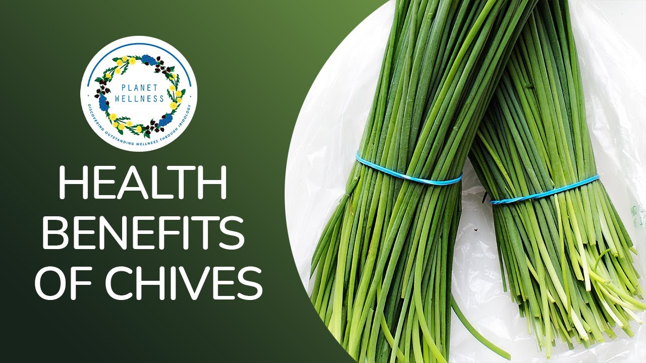 Health Benefits of Chives YouTube