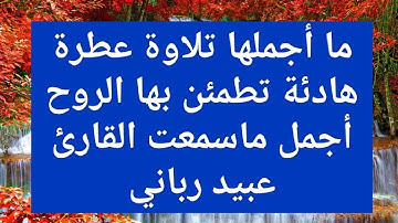 ما أجملها تلاوة عطرة هادئة تطمئن بها الروح أجمل ماسمعت القارئ عبيد رباني