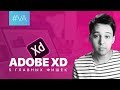 Adobe XD — лучший графический редактор для веба // Уроки веб-дизайна // #VA