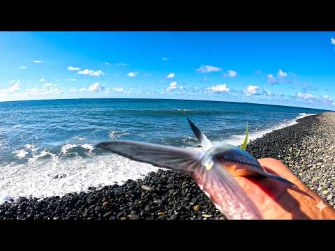 Pêche du Bord .SPOT de Galets Ronds Comment je Repère le Bon Endroit🐟fish974