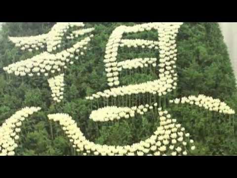 株式会社ユー花園 文字花祭壇シリーズ第1弾 想 Youtube