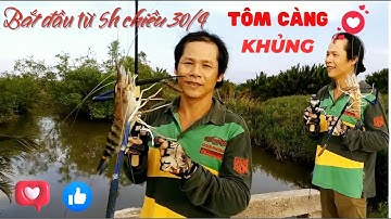 Câu tôm khủng gò công vẫn lên liên tục tại điểm yêu này