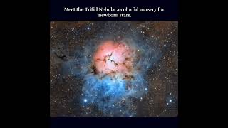 Inside the Trifid Nebula — A Cosmic Stellar Nursery 🌌✨