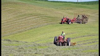 Baling Hay on a Small Dairy Farm l Small Squares l 2nd Crop 2021 l Dairy Farming in Wisconsin