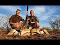 Springbockjagd in Namibia - Hunter Brothers