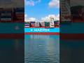When the Maersk line Container  ship passes by our bulk carrier ship..#shorts #short #youtube #sea