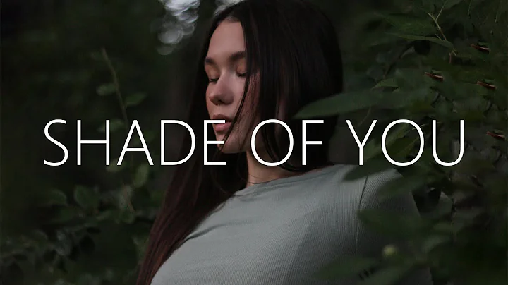 N3WPORT - Shade Of You (Lyrics) feat babe. & Kevin...