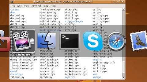 Where is the site-packages folder?
