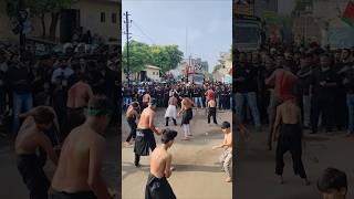 Khambhat Muharram 2k26 | Khambhat Azadari 2k26#khambhat#khambhatazadari#khambhatmuharram#shorts#zari