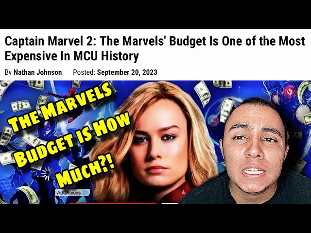 The Marvels budget is how much??! 