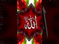 Allah like 🕋🕋🤲🏼🤲🏼🕌🕌#islamic short video