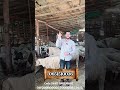 قصة حاج طيب هاذا هو الغني نداء للفرحة الجميع