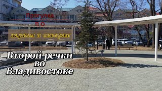 В поисках Второй речки во Владивостоке