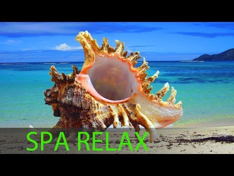 8 Hours Sleeping Music Study Spa Gentle Music Sleeping Drifting Out To S...