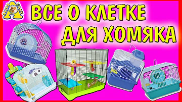 ВСЕ О КЛЕТКЕ ХОМЯКА / КАКАЯ КЛЕТКА НУЖНА ХОМЯКУ / ХОМЯК / Я Алиса Изи